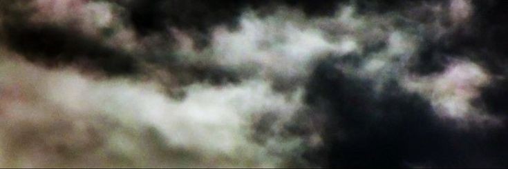 vince 🦇's banner