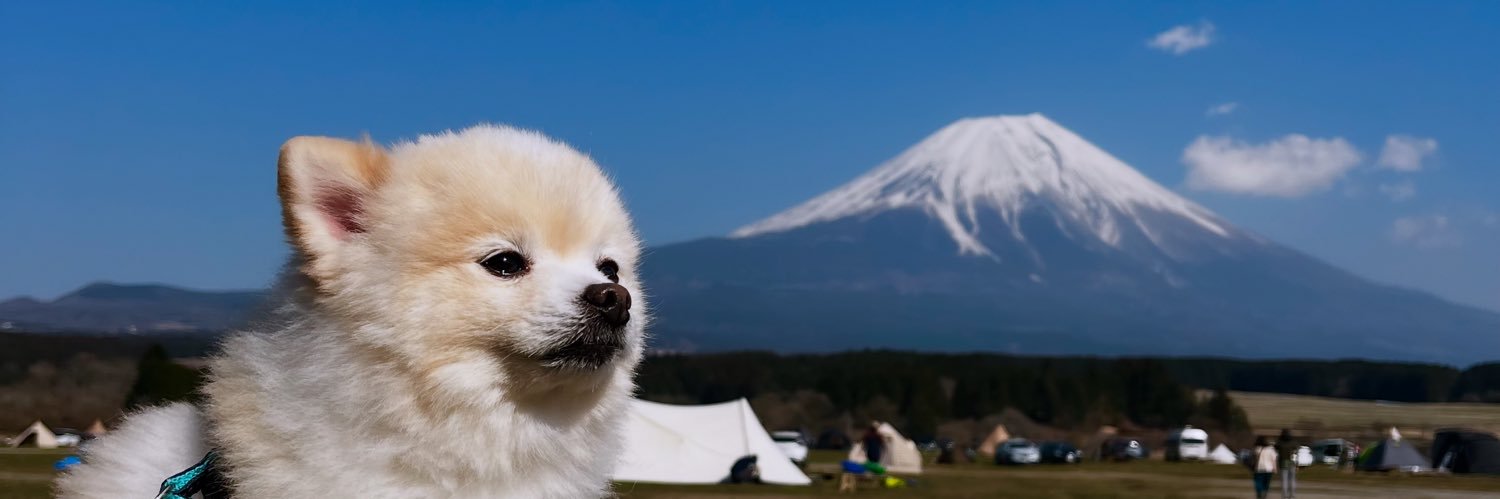 ぽんすけ大先生's banner