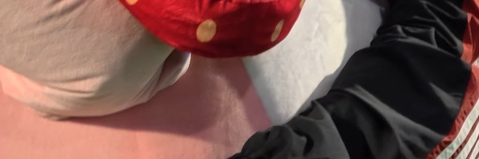‎ ༘⋆ღhii ·˚♡st🐶🐈's banner