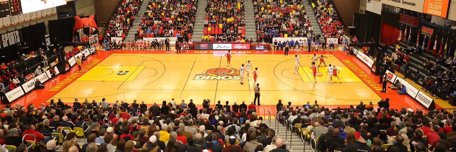 UCalgary Dinos's banner