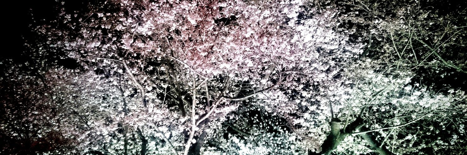 たま🎀's banner