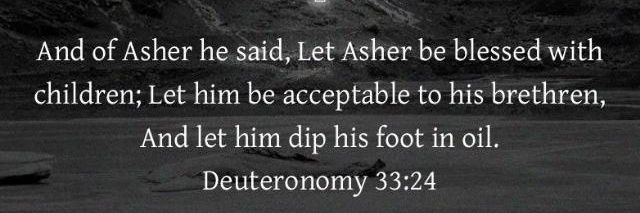 Mex Asher's banner