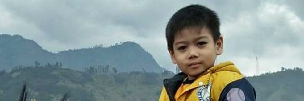hanny kristianto's banner