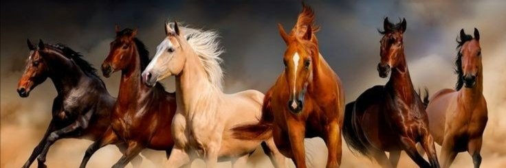 ظاهر صالح الخرسان 🇮🇶's banner
