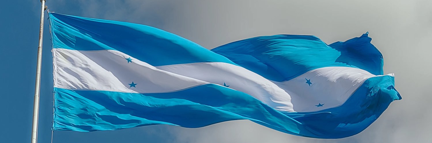 Canal 6 Honduras's banner