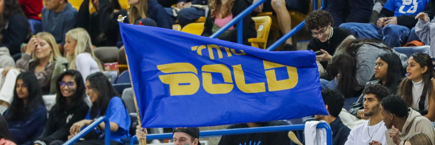 TMU Bold Men's Hockey's banner