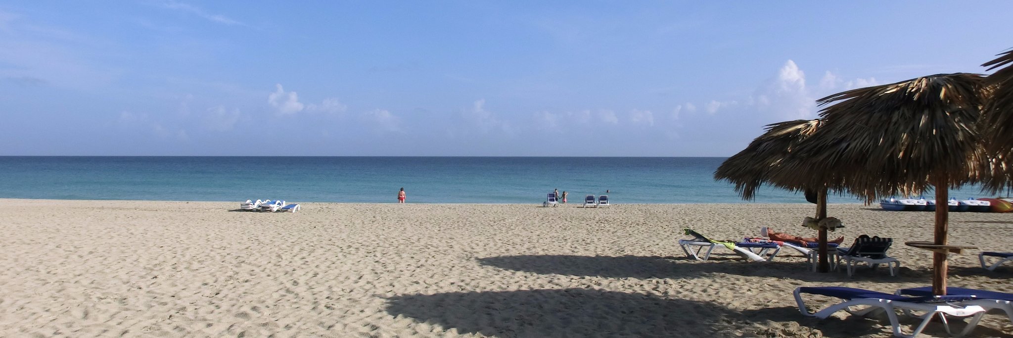 夏's banner