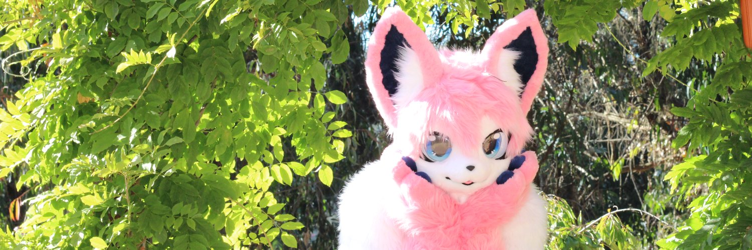 Caeles the Sylveon's banner