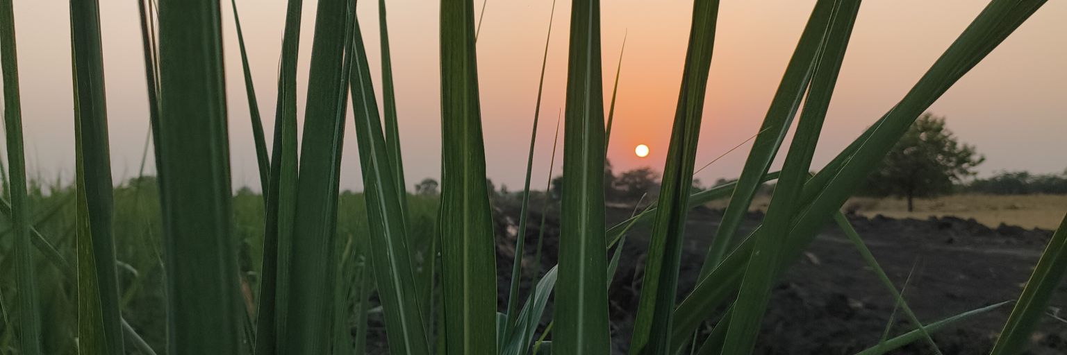 Suryakant Naik's banner