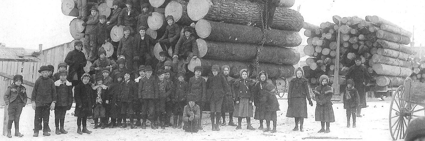 educación forestal🇪🇺's banner