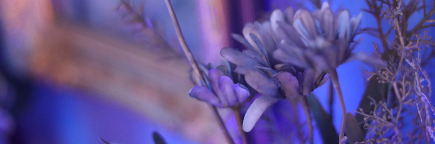 May Yamamoto💐 agape.'s banner