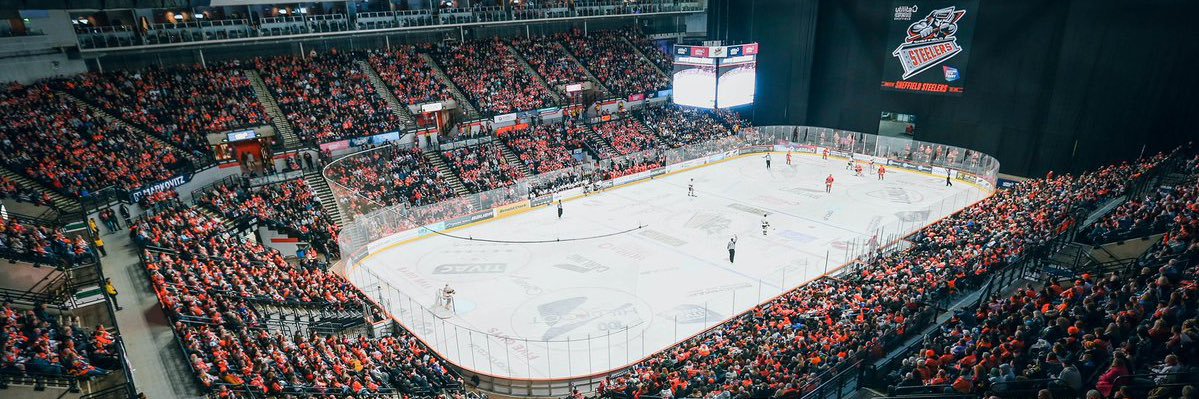 SteelThePuck's banner