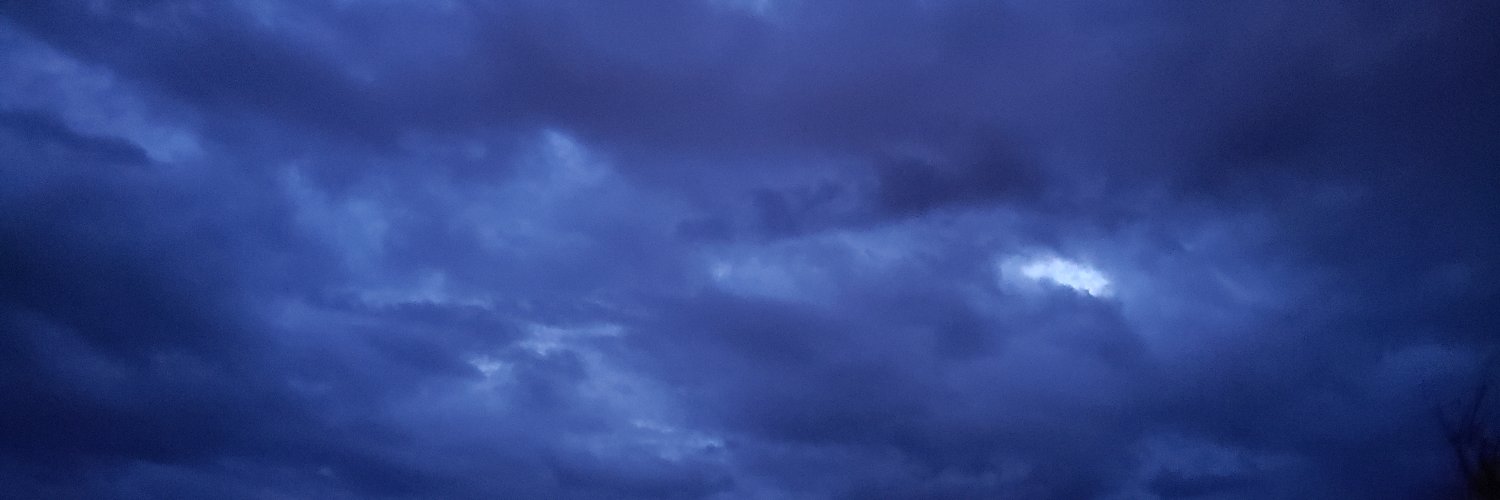 Makoshark771's banner