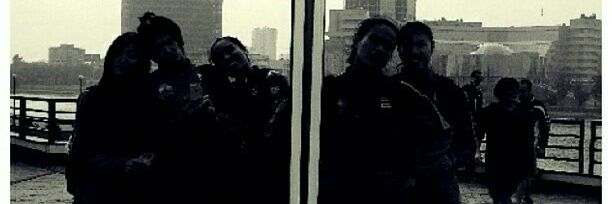 XIII🌻's banner