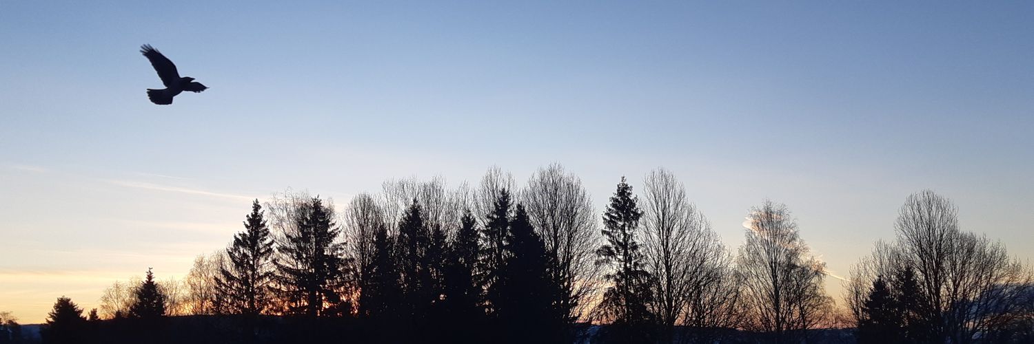 LiveHappyLife's banner