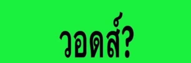꒰ྀི১ 키티모토 ྀི 🪽's banner