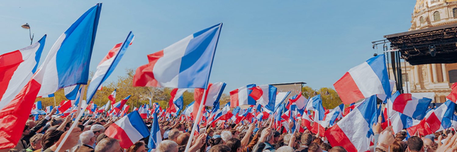 Rassemblement National's banner