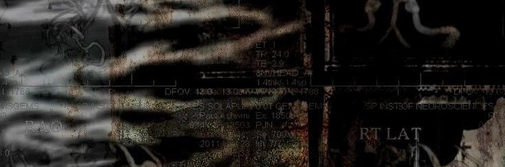 vamp𖤐's banner