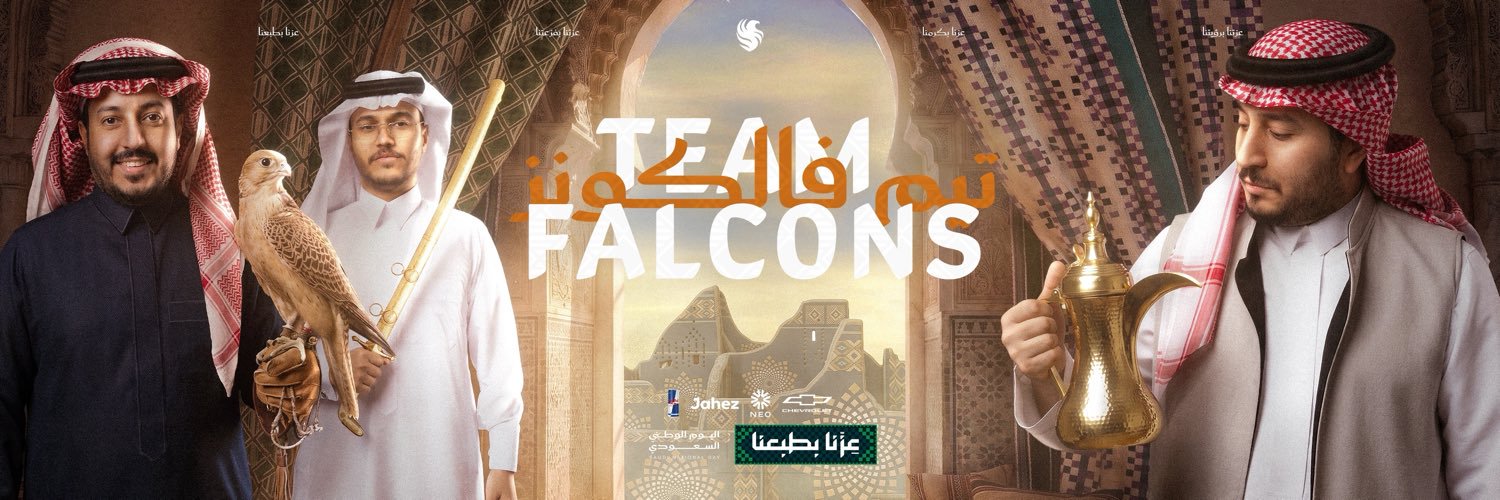 Team Falcons's banner