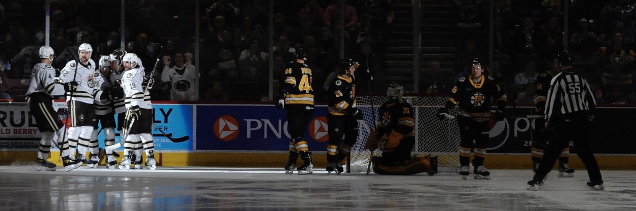 Bears Hockey Nation's banner