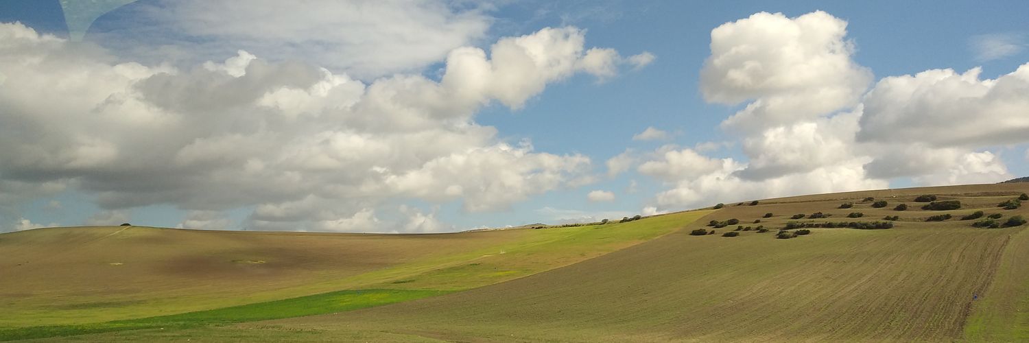 IgnacioGreiffenstein's banner