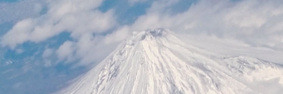 魏涼子's banner