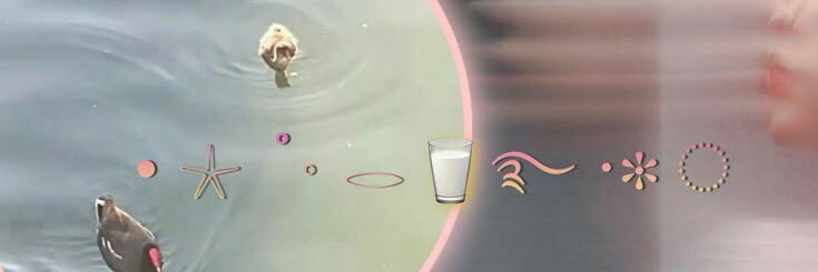 luvvv's banner