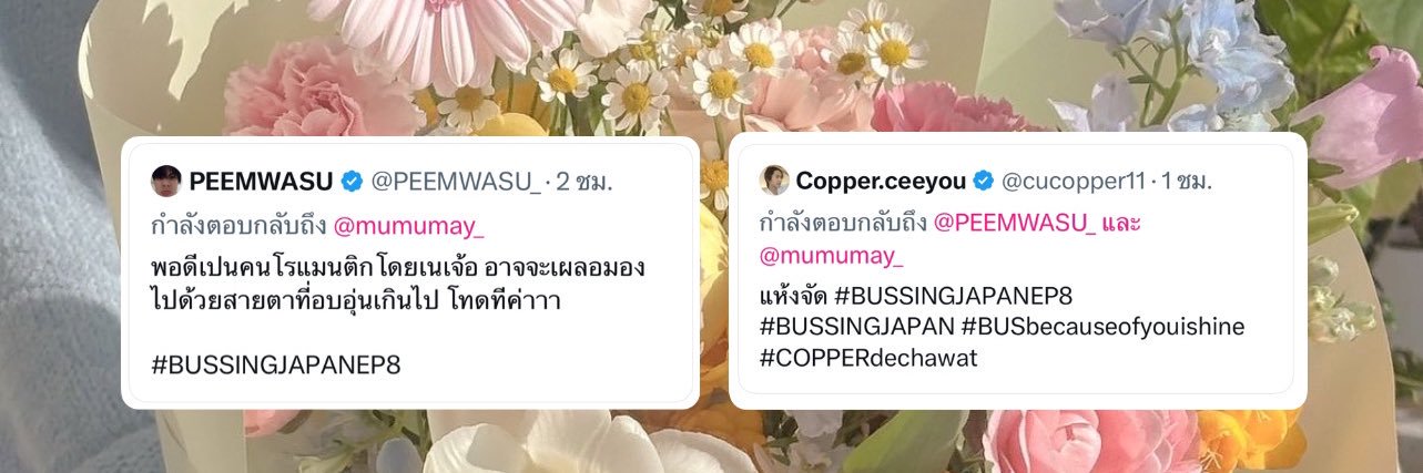 pcn. 🦮🐈 🐾's banner