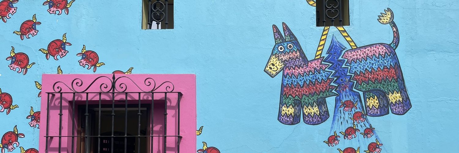 Peatonsito en Oaxaca 🇲🇽 🦜♻️'s banner