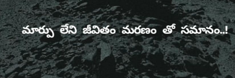 అభినవ్ కృష్ణ ୧⍤⃝💐░▒▓'s banner