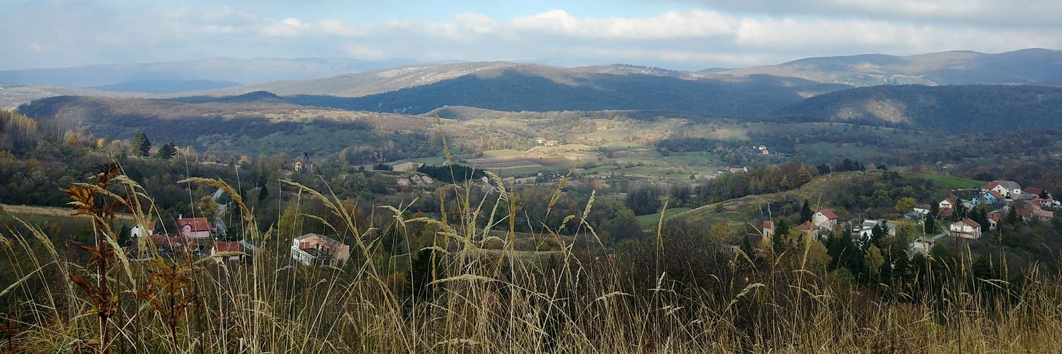 Natalija Falan Filan's banner