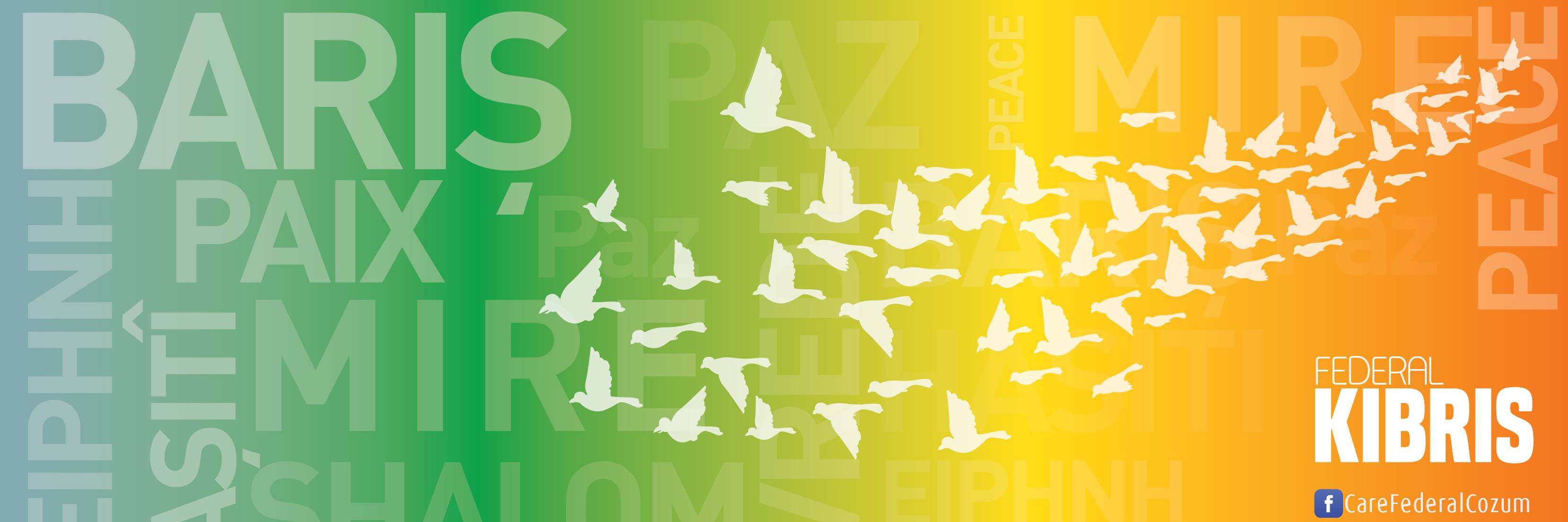 Ayşemden Akın's banner