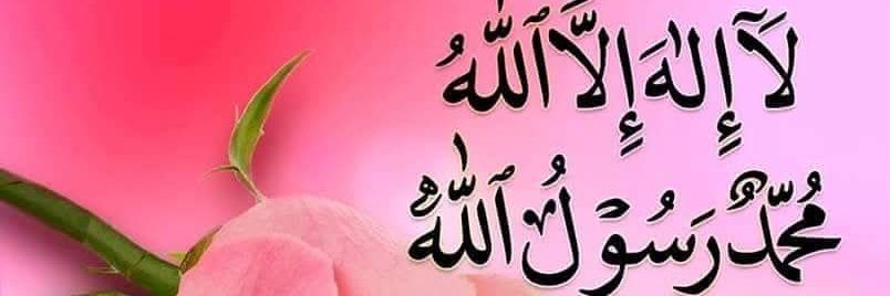 Nasir Iqbal Awan's banner