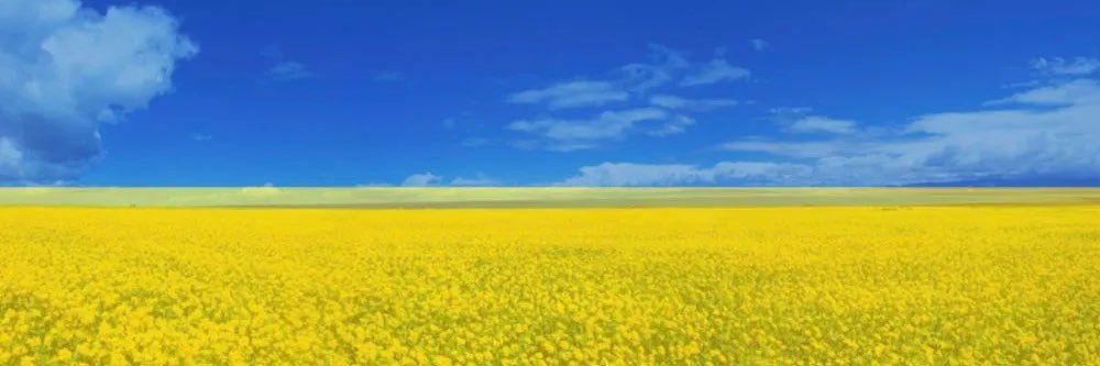 jpjukola 🇺🇦🇫🇮 Слава Україні!'s banner