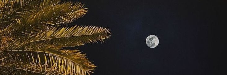 سلطان's banner