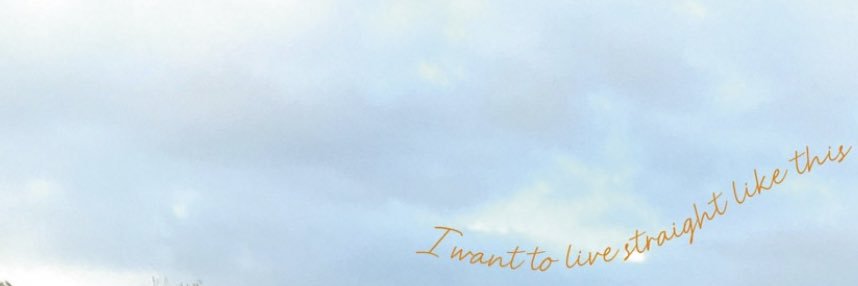 McbM's banner