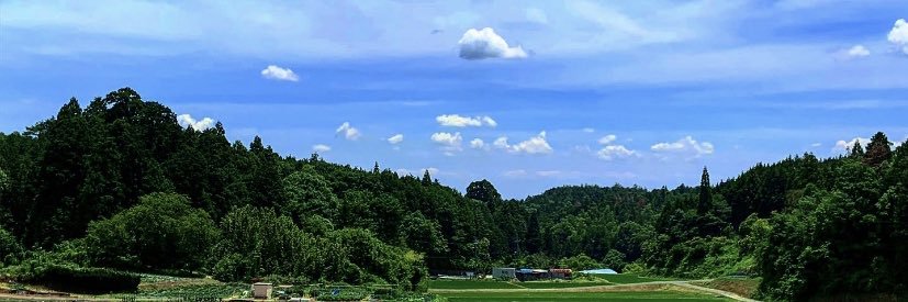 双子家 ピザ's banner