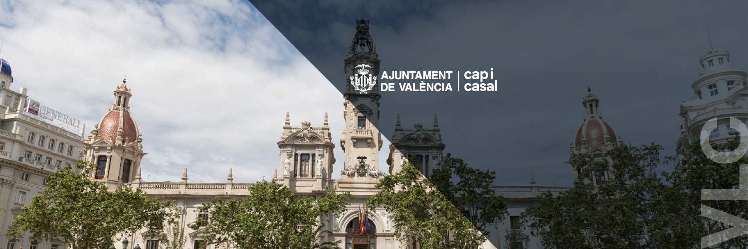 Ajuntament València's banner