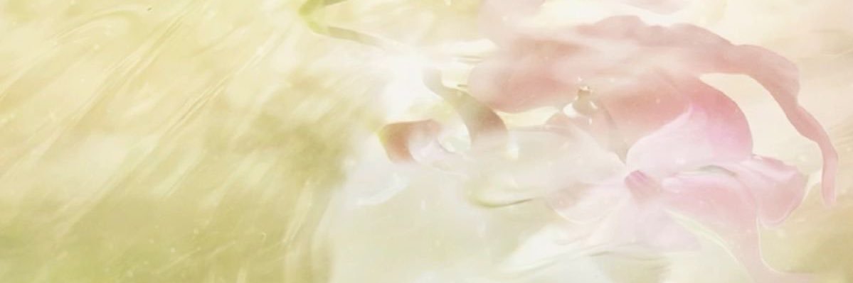 a ˚ ༘ ೀ⋆｡˚'s banner