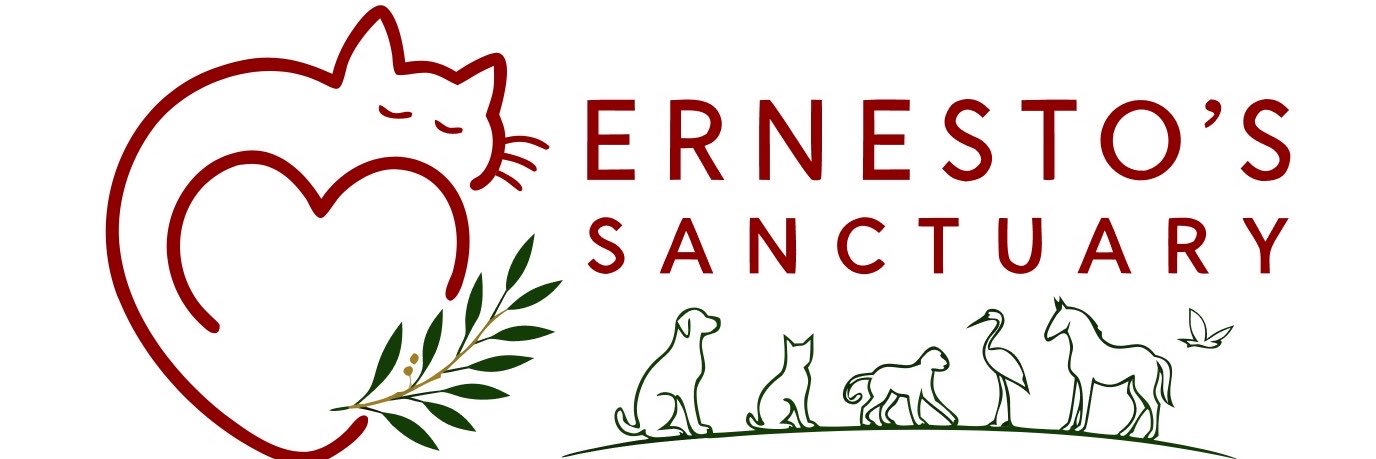 Ernesto’s Sanctuary for Syrian animls's banner