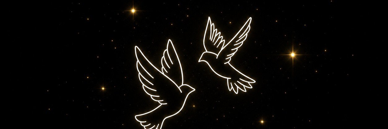 şεω🌙's banner