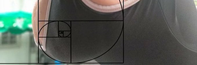 ⚡️ ADAM ⚡️🍥おっぱいエンジニア's banner