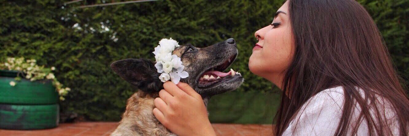 Belu 🌙's banner