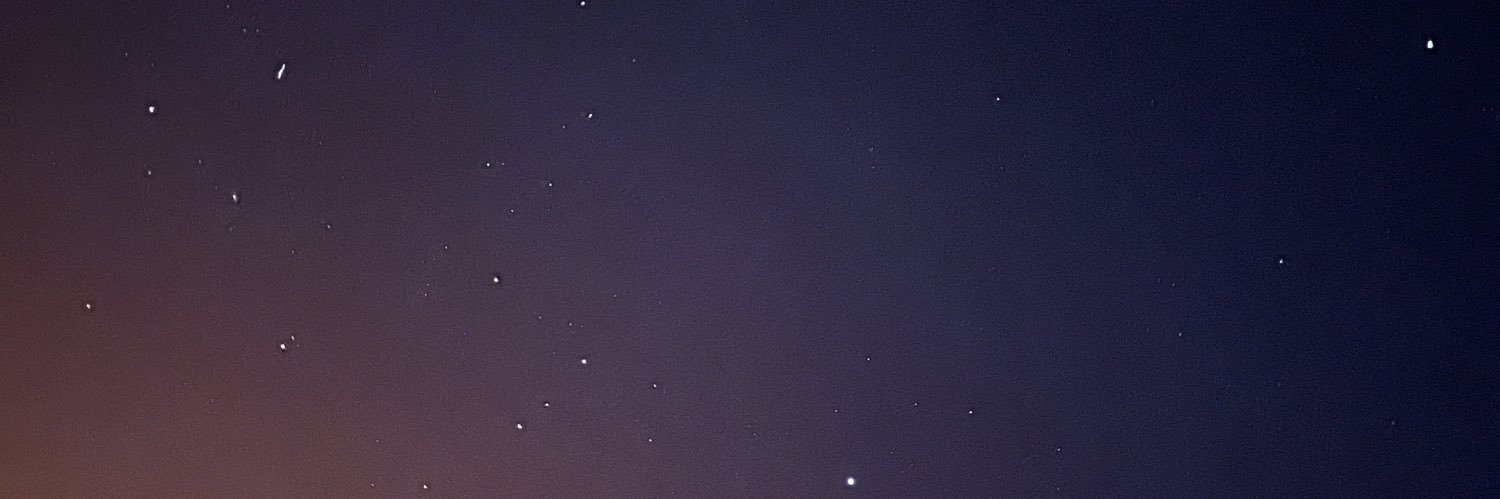 Giulia Muchi's banner