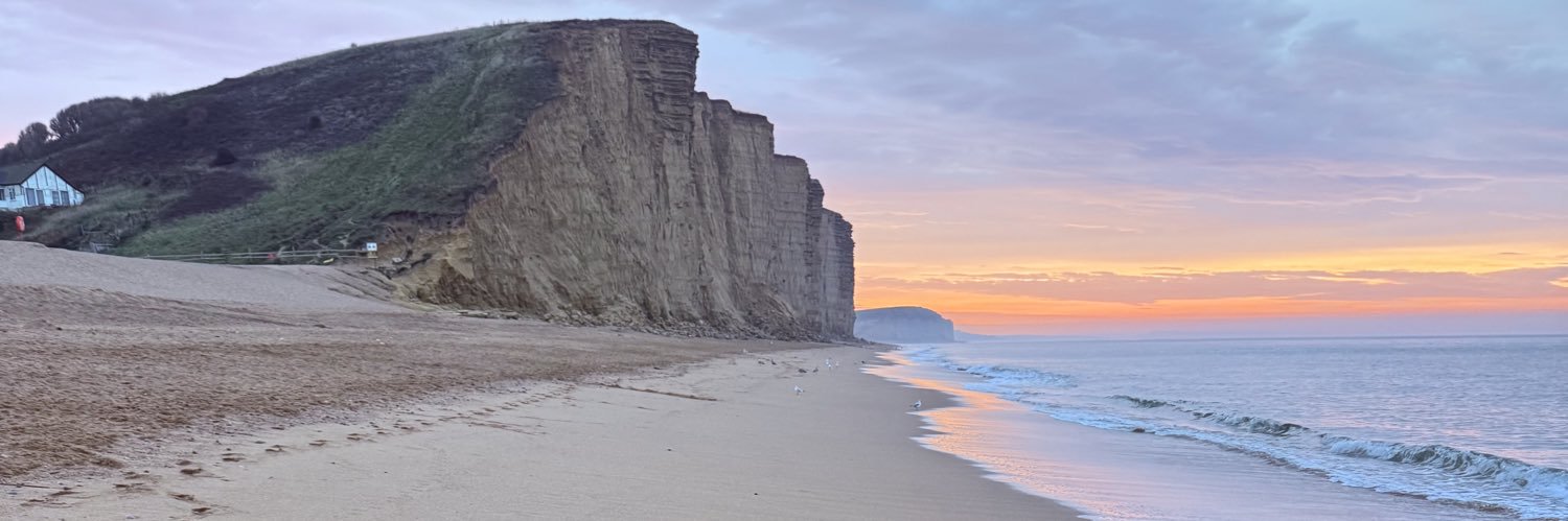 dorsetdom ⭐️⭐️'s banner
