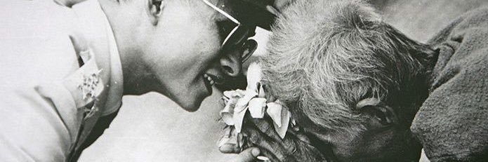 ᴘᴇᴀʀɴᴏɪɪ 𐐒𐐚 ᨳ ₊˚ 🤍🐺's banner