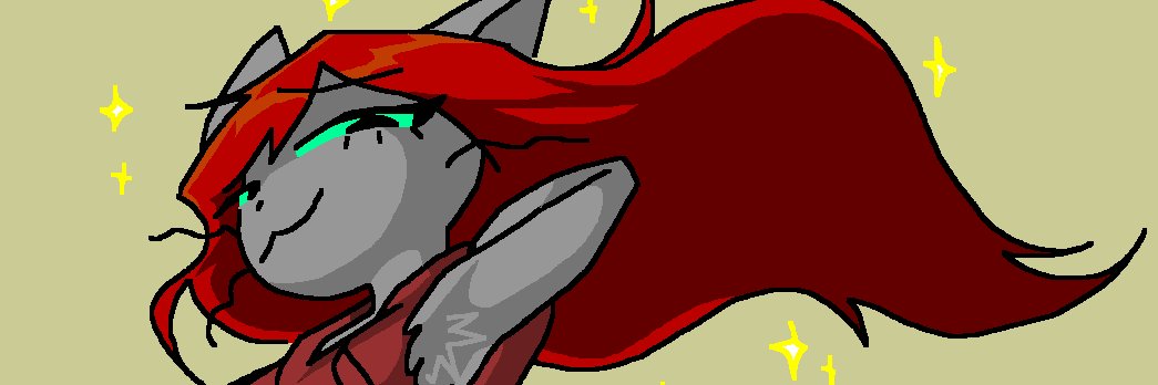 qt 🍉's banner