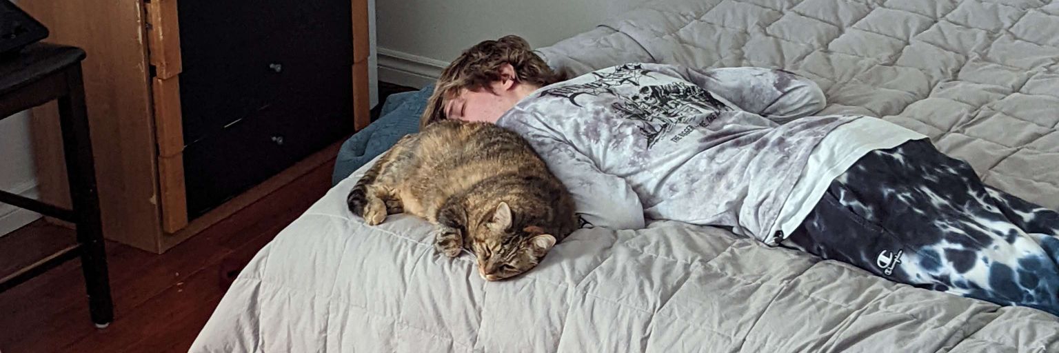 xQc's banner