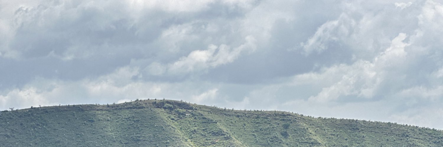 ODARI's banner