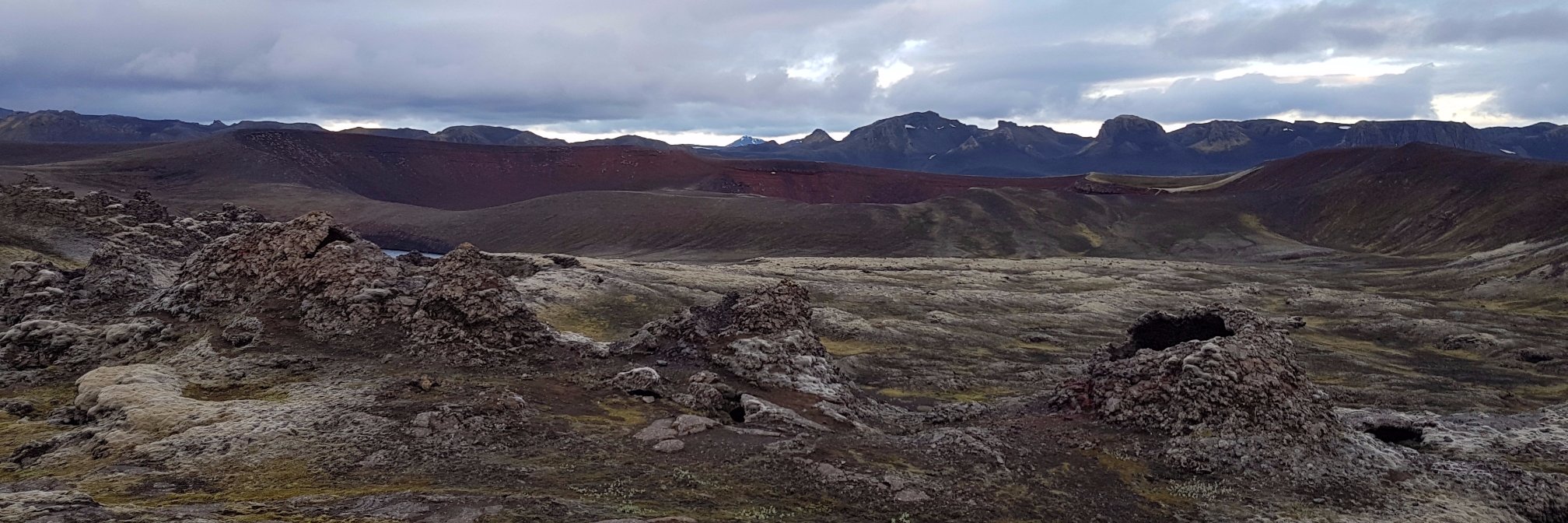 Lara Omarsdottir's banner